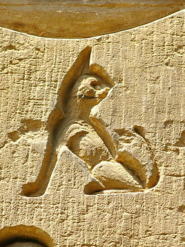 Ägyptische Zeichnung einer Katze in Stein
