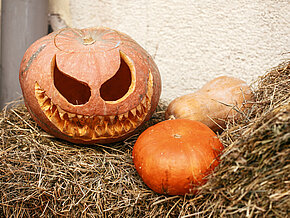 Geschnitzter Kürbis