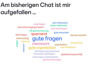 Wordcloud der Schülerinnen und Schüler zum Verlauf des Chats 