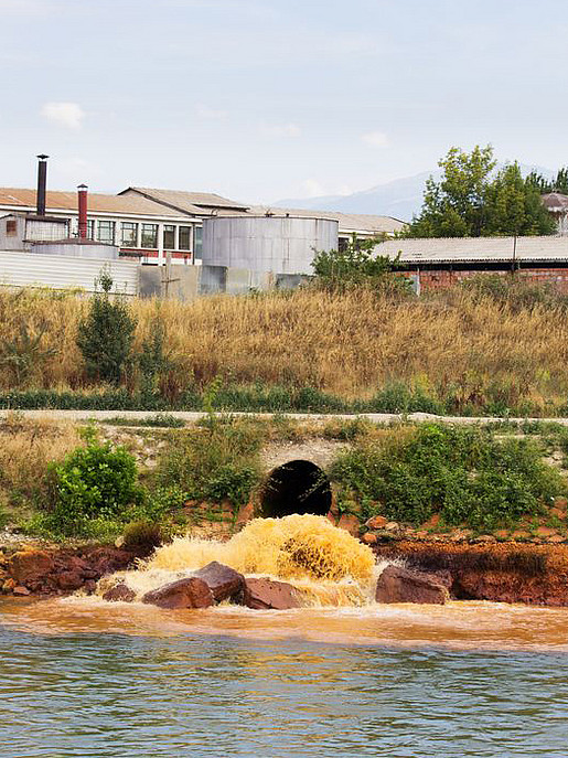 Abwasserleitung in der Landwirtschaft verschmutzt den Bach