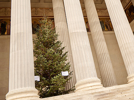 Christbaum im Parlament