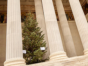 Christbaum im Parlament