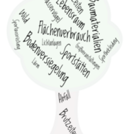 Begriffe zum Thema Politik und Sport, angeordnet in Form eines Baums