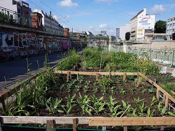 Guerilla Gardening