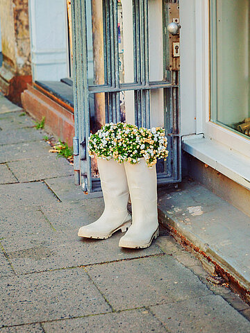 Blumen wachsen in einem paar Gummistiefel