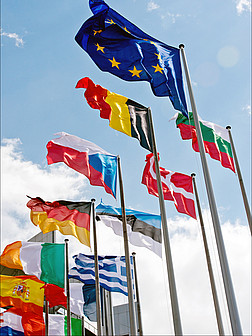 Die Flaggen der EU-Länder in Straßburg wehen an Fahnenmasten im Wind.
