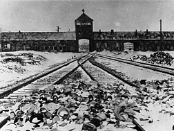 <a href="http://commons.wikimedia.org/wiki/File:Bundesarchiv_Bild_175-04413,_KZ_Auschwitz,_Einfahrt.jpg">Die Einfahrt zum KZ Auschwitz</a> © Bundesarchiv, B 285 Bild-04413 / Stanislaw Mucha / CC-BY-SA