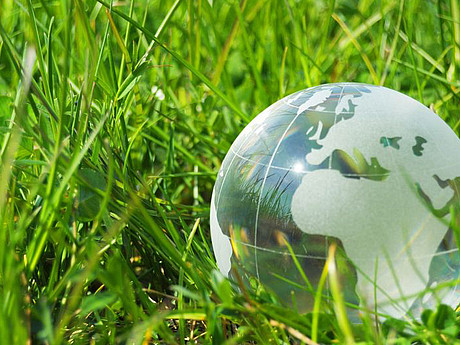 eine Glas-Weltkugel liegt im Gras