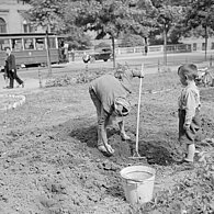 Eine Frau baut nach dem Zweiten Weltkrieg Gemüse nahe der Votivkirche an, neben ihr zwei Kinder 