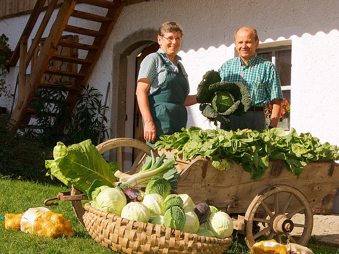 Ab Hof-Verkauf und Foodcooperativen