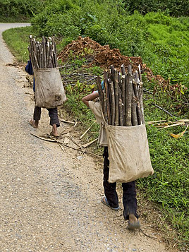 Zwei Kinder tragen große Bündel Brennholz in Säcken auf ihrem Rücken einen steilen Weg hinauf.