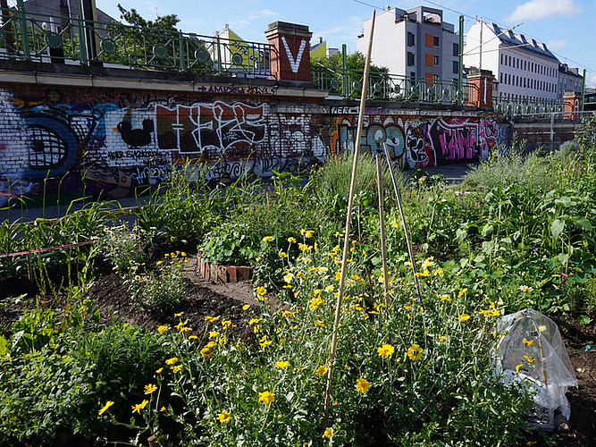 Guerilla Gardening Wien