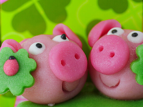 Zwei Schweinchen aus Marzipan und ein Marienkäfer auf einem Kleeblatt 