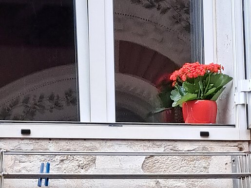 Fensterbrett mit Blumentopf
