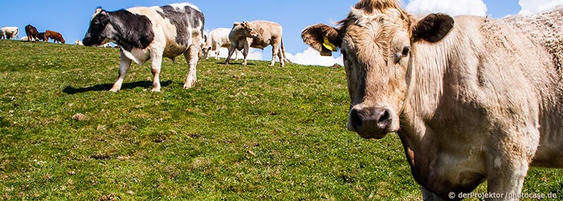 Landwirtschaft<br>einst und jetzt