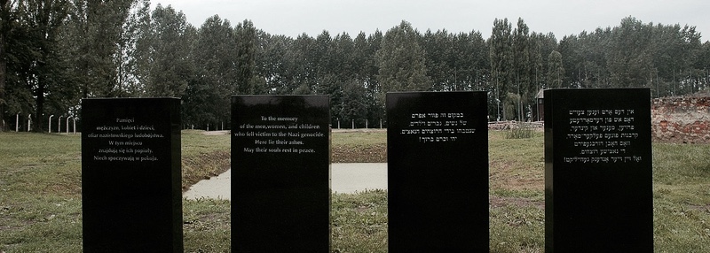 Holocaust—Shoah